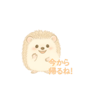 私のハリネズミちゃんが可愛くなりました。（個別スタンプ：21）