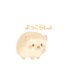 私のハリネズミちゃんが可愛くなりました。（個別スタンプ：24）