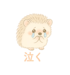 私のハリネズミちゃんが可愛くなりました。（個別スタンプ：34）