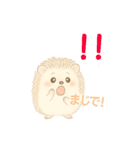 私のハリネズミちゃんが可愛くなりました。（個別スタンプ：36）