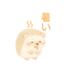 私のハリネズミちゃんが可愛くなりました。（個別スタンプ：40）