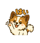 ふわふわパピヨン日和（個別スタンプ：1）