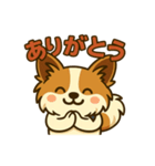ふわふわパピヨン日和（個別スタンプ：3）