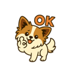 ふわふわパピヨン日和（個別スタンプ：10）