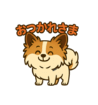 ふわふわパピヨン日和（個別スタンプ：13）
