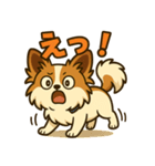 ふわふわパピヨン日和（個別スタンプ：16）