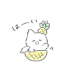 夏のふかふかこねこスタンプ（個別スタンプ：1）
