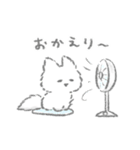 夏のふかふかこねこスタンプ（個別スタンプ：17）
