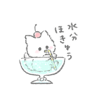 夏のふかふかこねこスタンプ（個別スタンプ：19）