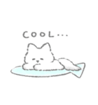 夏のふかふかこねこスタンプ（個別スタンプ：33）