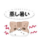 毎日五月病なねこたち 3D風！夏スタンプ（個別スタンプ：8）