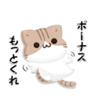 毎日五月病なねこたち 3D風！夏スタンプ（個別スタンプ：12）
