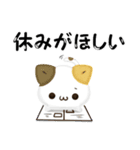 毎日五月病なねこたち 3D風！夏スタンプ（個別スタンプ：17）