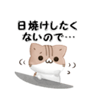 毎日五月病なねこたち 3D風！夏スタンプ（個別スタンプ：18）