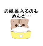 毎日五月病なねこたち 3D風！夏スタンプ（個別スタンプ：20）