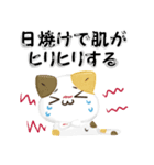 毎日五月病なねこたち 3D風！夏スタンプ（個別スタンプ：23）