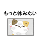 毎日五月病なねこたち 3D風！夏スタンプ（個別スタンプ：25）
