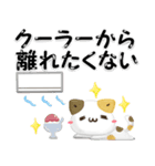 毎日五月病なねこたち 3D風！夏スタンプ（個別スタンプ：27）