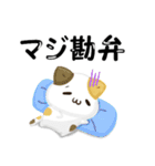 毎日五月病なねこたち 3D風！夏スタンプ（個別スタンプ：31）