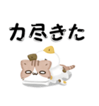毎日五月病なねこたち 3D風！夏スタンプ（個別スタンプ：32）