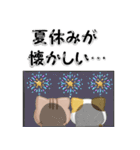 毎日五月病なねこたち 3D風！夏スタンプ（個別スタンプ：37）