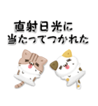 毎日五月病なねこたち 3D風！夏スタンプ（個別スタンプ：38）