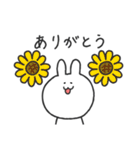 がんばるシロシロの夏いっぱいスタンプ（個別スタンプ：3）