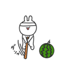 がんばるシロシロの夏いっぱいスタンプ（個別スタンプ：17）