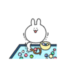 がんばるシロシロの夏いっぱいスタンプ（個別スタンプ：33）