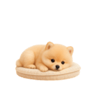 かわいいぽっちゃりポメラニアン （NT）（個別スタンプ：3）