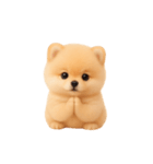 かわいいぽっちゃりポメラニアン （NT）（個別スタンプ：19）