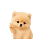 かわいいぽっちゃりポメラニアン （NT）（個別スタンプ：21）