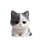 感情豊かなツートン柄の猫 （NT）（個別スタンプ：1）