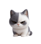感情豊かなツートン柄の猫 （NT）（個別スタンプ：5）