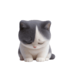 感情豊かなツートン柄の猫 （NT）（個別スタンプ：14）