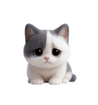 感情豊かなツートン柄の猫 （NT）（個別スタンプ：24）