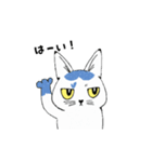 動く！ねこのシーリャ（個別スタンプ：1）
