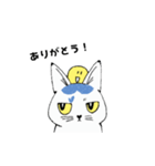 動く！ねこのシーリャ（個別スタンプ：4）