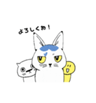 動く！ねこのシーリャ（個別スタンプ：12）