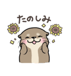 夏を満喫カワウソさん♪（個別スタンプ：30）