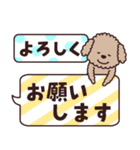 トイプー♡ずっと使える夏（個別スタンプ：1）