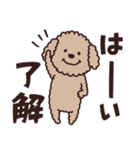 トイプー♡ずっと使える夏（個別スタンプ：2）