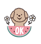 トイプー♡ずっと使える夏（個別スタンプ：3）