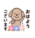 トイプー♡ずっと使える夏（個別スタンプ：5）