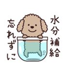 トイプー♡ずっと使える夏（個別スタンプ：7）