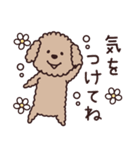 トイプー♡ずっと使える夏（個別スタンプ：8）