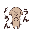 トイプー♡ずっと使える夏（個別スタンプ：9）