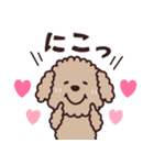 トイプー♡ずっと使える夏（個別スタンプ：10）