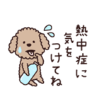 トイプー♡ずっと使える夏（個別スタンプ：13）