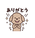トイプー♡ずっと使える夏（個別スタンプ：19）
